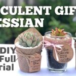 Succulent Surprises: Unique Gift Ideas for Plant Lovers